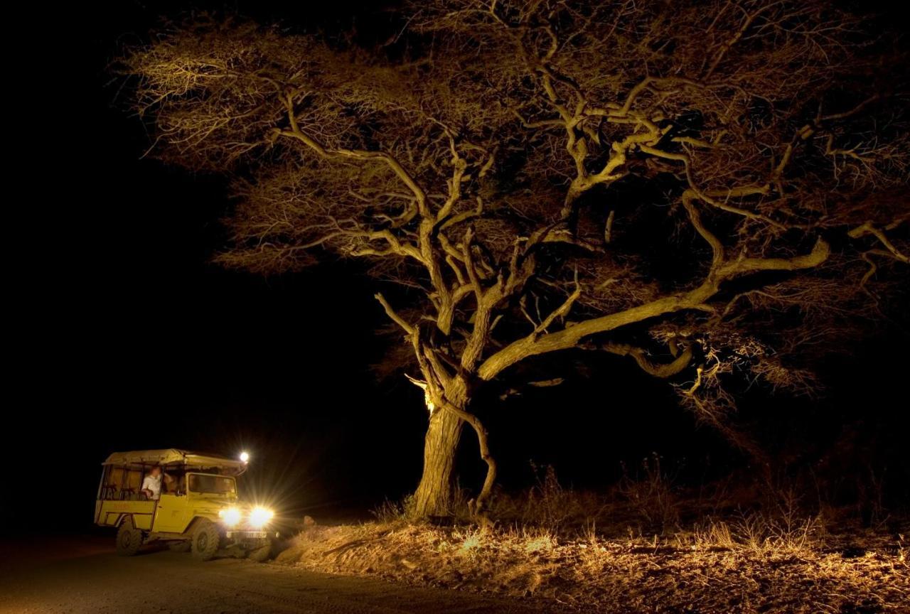 Severin Safari Camp Tsavo West National Park Dış mekan fotoğraf