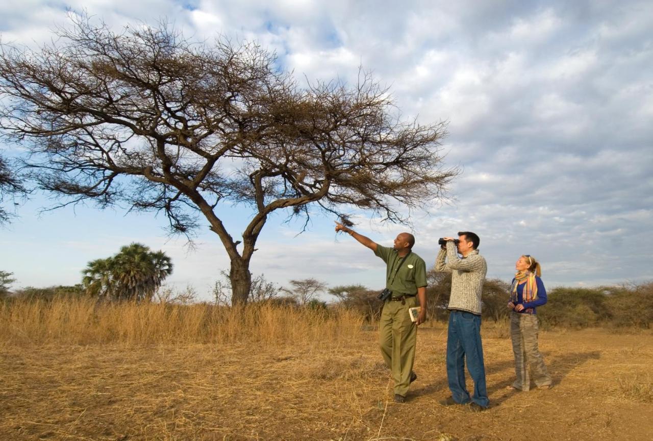Severin Safari Camp Tsavo West National Park Dış mekan fotoğraf